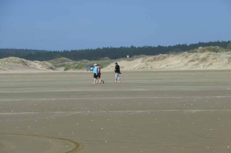 Nieuw-Zeeland 2011 - 0391